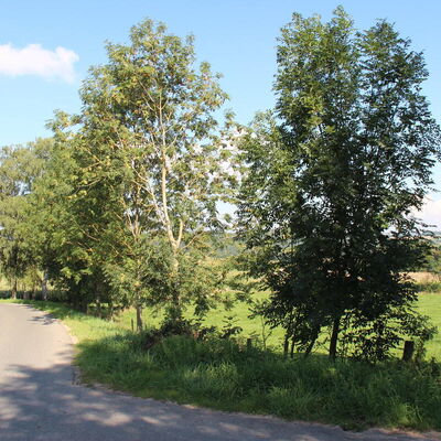 Bild vergr&ouml;&szlig;ern: Unterwegs auf auf dem Jubiläumssteig