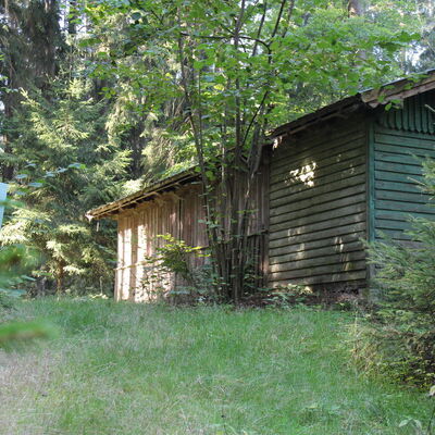 Bild vergr&ouml;&szlig;ern: Unterwegs auf auf dem Jubiläumssteig