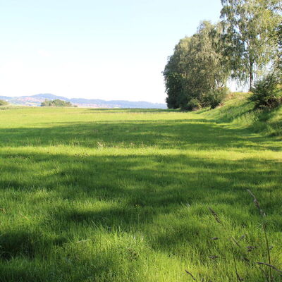 Bild vergr&ouml;&szlig;ern: Unterwegs auf auf dem Jubiläumssteig