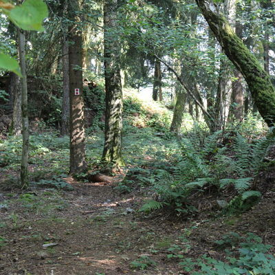 Bild vergr&ouml;&szlig;ern: Unterwegs auf auf dem Jubiläumssteig