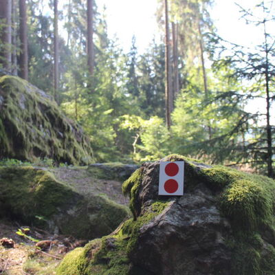 Bild vergr&ouml;&szlig;ern: Unterwegs auf auf dem Jubiläumssteig