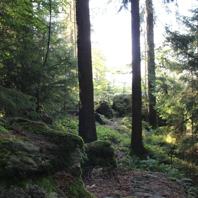 Bild vergr&ouml;&szlig;ern: Unterwegs auf auf dem Jubiläumssteig