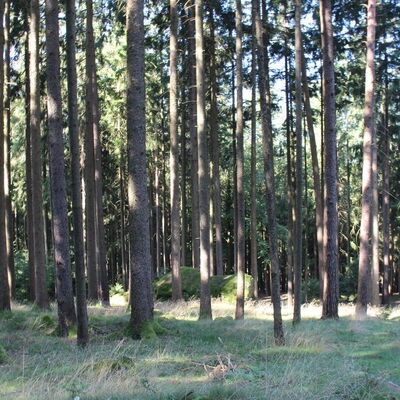 Bild vergr&ouml;&szlig;ern: Unterwegs auf auf dem Jubiläumssteig