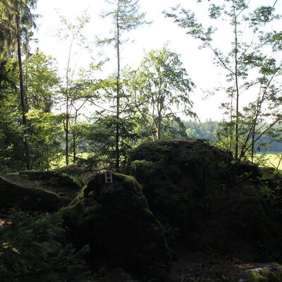 Bild vergr&ouml;&szlig;ern: Unterwegs auf auf dem Jubiläumssteig