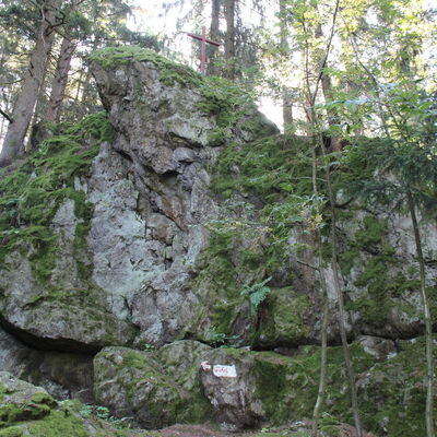 Bild vergr&ouml;&szlig;ern: Katzenstoi