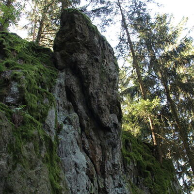 Bild vergr&ouml;&szlig;ern: Katzenstoi