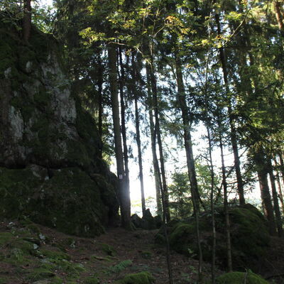 Bild vergr&ouml;&szlig;ern: Katzenstoi