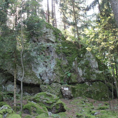 Bild vergr&ouml;&szlig;ern: Katzenstoi