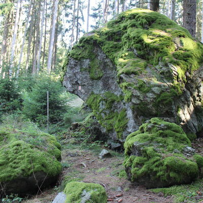 Bild vergr&ouml;&szlig;ern: Katzenstoi