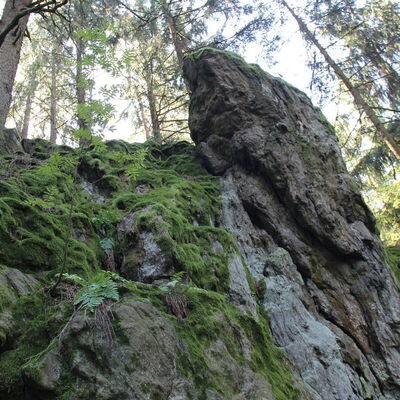 Bild vergr&ouml;&szlig;ern: Katzenstoi