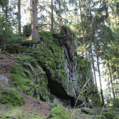 Bild vergr&ouml;&szlig;ern: Katzenstoi