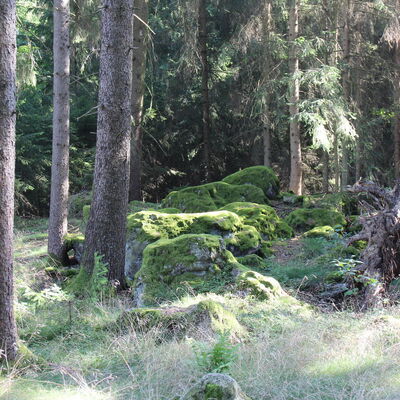 Bild vergr&ouml;&szlig;ern: Katzenstoi