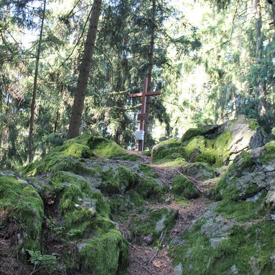 Bild vergr&ouml;&szlig;ern: Katzenstoi