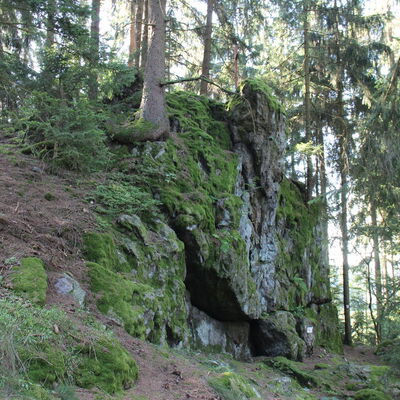 Bild vergr&ouml;&szlig;ern: Katzenstoi