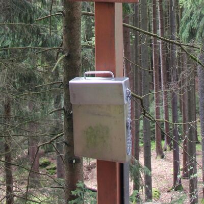 Bild vergr&ouml;&szlig;ern: Katzenstoi